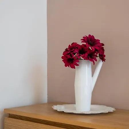 Gares - 50m2 Apartment! דירה